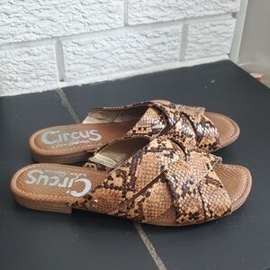 Circus By Sam Edelman Women's Burnett Animal Print Slide Flat Cute Sandals US 8